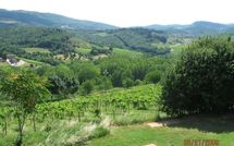 Foto ingevoerd door een huurder van San Pierino