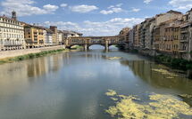 Foto ingevoerd door een huurder van Ginestra Fiorentina 110