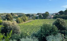 Foto ingevoerd door een huurder van Casa Cervognano