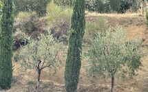 Foto ingevoerd door een huurder van Casa Cervognano