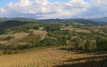 Foto ingevoerd door een huurder van Villa del Conte