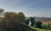 Foto ingevoerd door een huurder van Chiusi 607