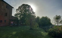 Foto ingevoerd door een huurder van Chiusi 607