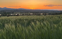 Foto ingevoerd door een huurder van Poggio Falcone