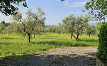 Foto ingevoerd door een huurder van Il Fontanino