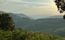 Foto ingevoerd door een huurder van Villa Crispinino