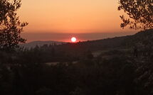 Foto ingevoerd door een huurder van Villa Giotto