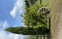 Foto ingevoerd door een huurder van La Rimessa