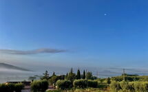 Foto ingevoerd door een huurder van Cerretini