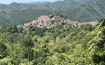 Foto ingevoerd door een huurder van Broccolo