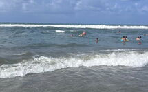 Foto ingevoerd door een huurder van Al Magliano