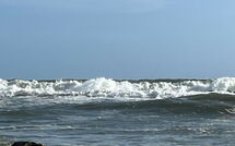 Foto ingevoerd door een huurder van Al Magliano