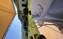 Foto ingevoerd door een huurder van Orangerie degli Ulivi