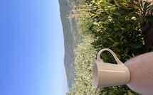 Foto ingevoerd door een huurder van Orangerie degli Ulivi