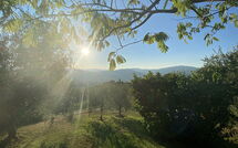 Foto ingevoerd door een huurder van Il Circolo