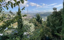 Foto ingevoerd door een huurder van La Rosa