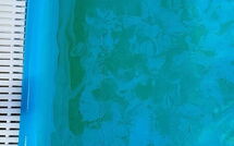 Foto ingevoerd door een huurder van Tenuta di Campagliana