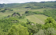 Foto ingevoerd door een huurder van Camporempoli