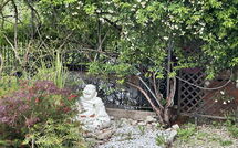 Foto ingevoerd door een huurder van Villa Ancora