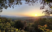 Foto ingevoerd door een huurder van Poggiolo