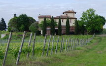 Foto ingevoerd door een huurder van Tavarnelle Val di Pesa 617