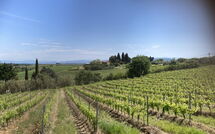 Foto ingevoerd door een huurder van Tavarnelle Val di Pesa 617