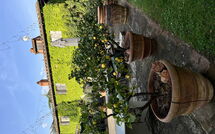 Foto ingevoerd door een huurder van Podere la Torre