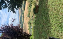 Foto ingevoerd door een huurder van Lajatico 602