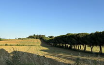 Foto ingevoerd door een huurder van Villa Camelia