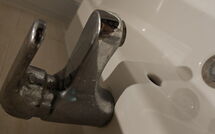 Foto ingevoerd door een huurder van Marina di Bibbona 150