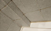 Foto ingevoerd door een huurder van Marina di Bibbona 150