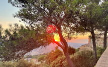 Foto ingevoerd door een huurder van Podere Santa Lucia