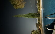 Foto ingevoerd door een huurder van Villino Alba