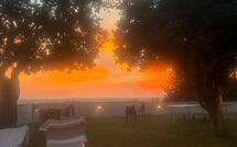 Foto ingevoerd door een huurder van Massarosa Front Lake, the Gargoyles