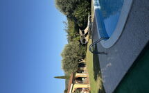 Foto ingevoerd door een huurder van Villa Il Cipresso