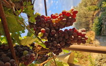 Foto ingevoerd door een huurder van San Eusebio