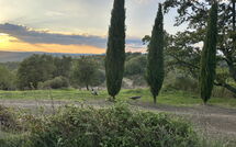 Foto ingevoerd door een huurder van Podere Orietta