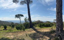 Foto ingevoerd door een huurder van Dependance di Villa Magna