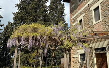 Foto ingevoerd door een huurder van Policleto