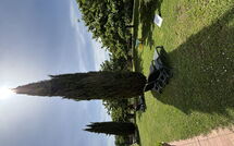 Foto ingevoerd door een huurder van Il Casale