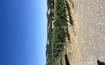 Foto ingevoerd door een huurder van Villa le Buche