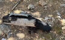 Foto ingevoerd door een huurder van Von Salis