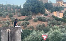 Foto ingevoerd door een huurder van Pier