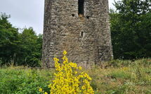 Foto ingevoerd door een huurder van Villa Rosata