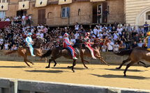 Foto ingevoerd door een huurder van Tenuta Il Tresto