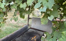 Foto ingevoerd door een huurder van Podere Valcellino