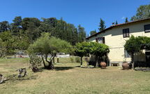 Foto ingevoerd door een huurder van Podere Valcellino