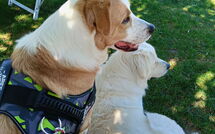 Foto ingevoerd door een huurder van Villa Mira