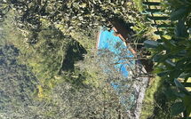 Foto ingevoerd door een huurder van Il Castagneto