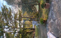 Foto ingevoerd door een huurder van La Casina del Bosco